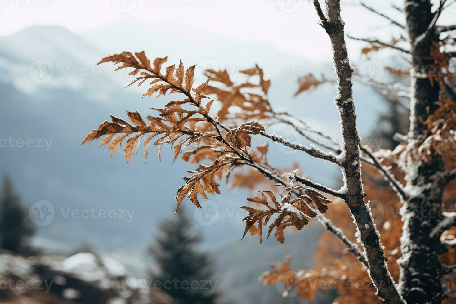 mild berg skog bris, snöig himmel bakgrund, svängande vinter- växter, och lugn grenar i en lugn naturlig scen. generativ ai foto