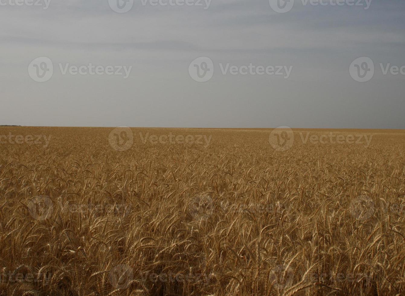 fantastiska landskap av Israel, utsikt över det heliga landet foto