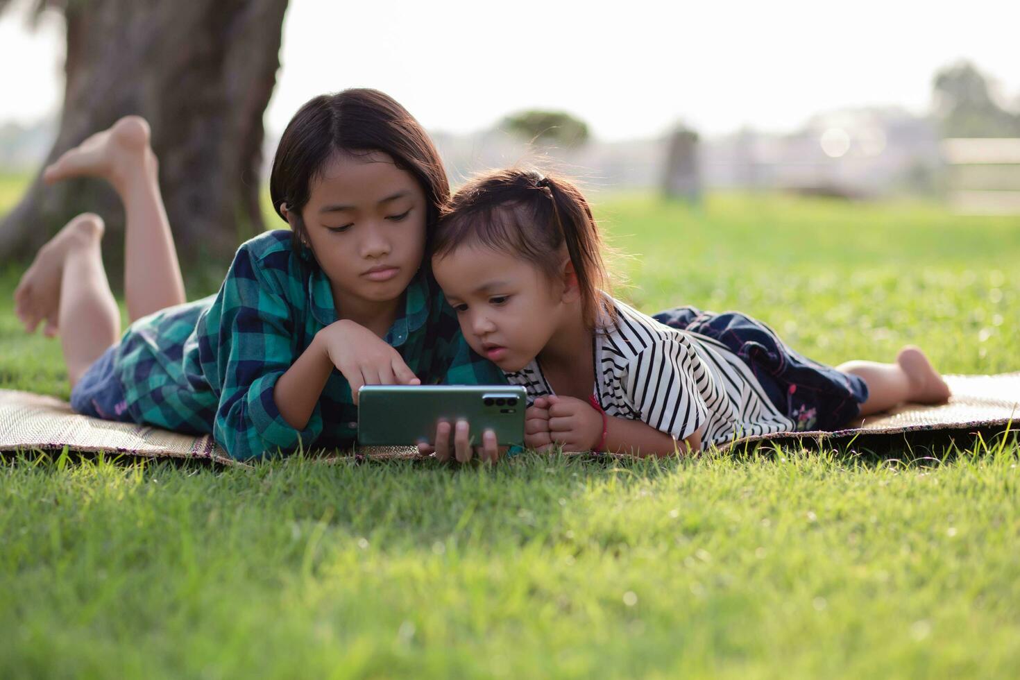 två ung flickor liggande på de gräsmatta ser på deras telefoner, sommar, gyllene timme, solnedgång. sstkhome foto