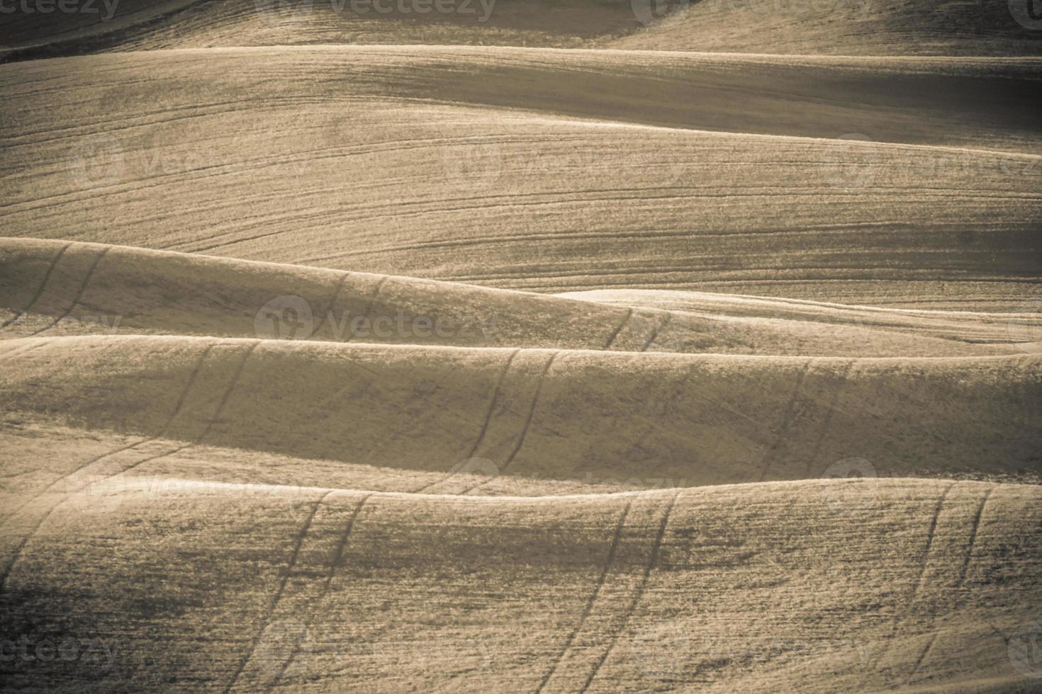 magiska vete gård fält i palouse washington foto