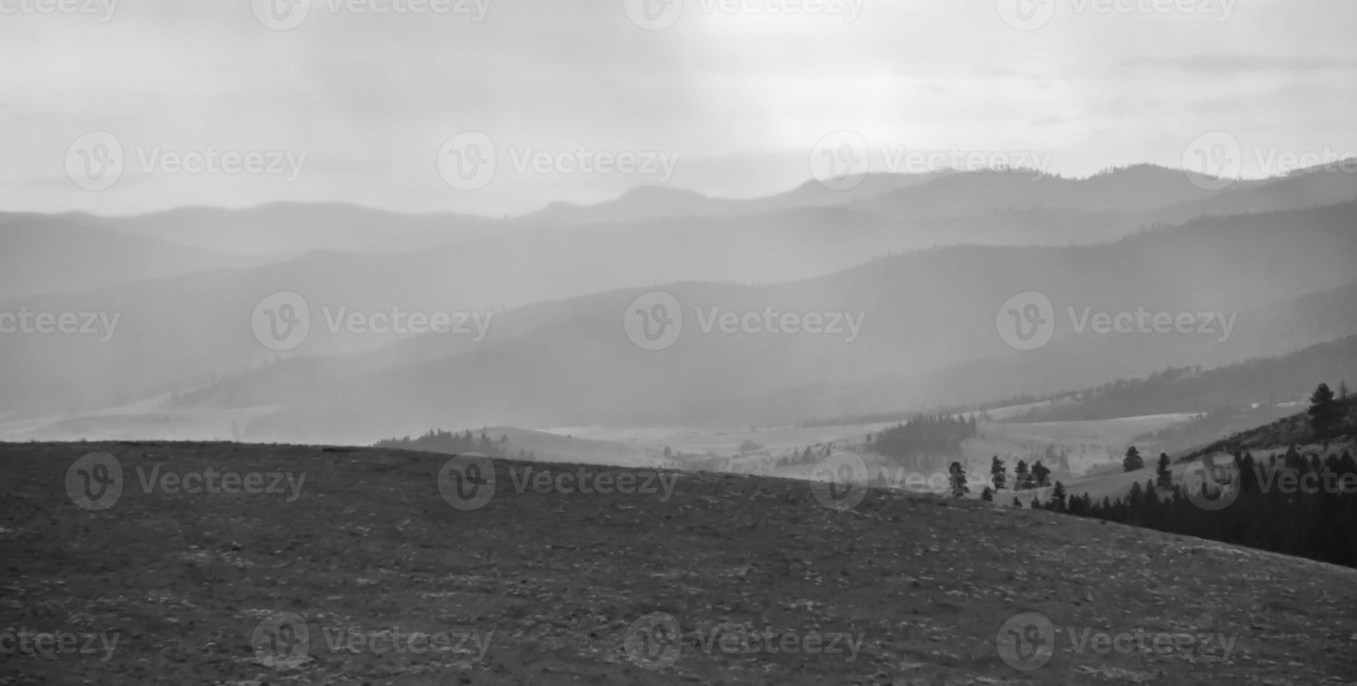 natur och scener runt flathead national forest montana foto