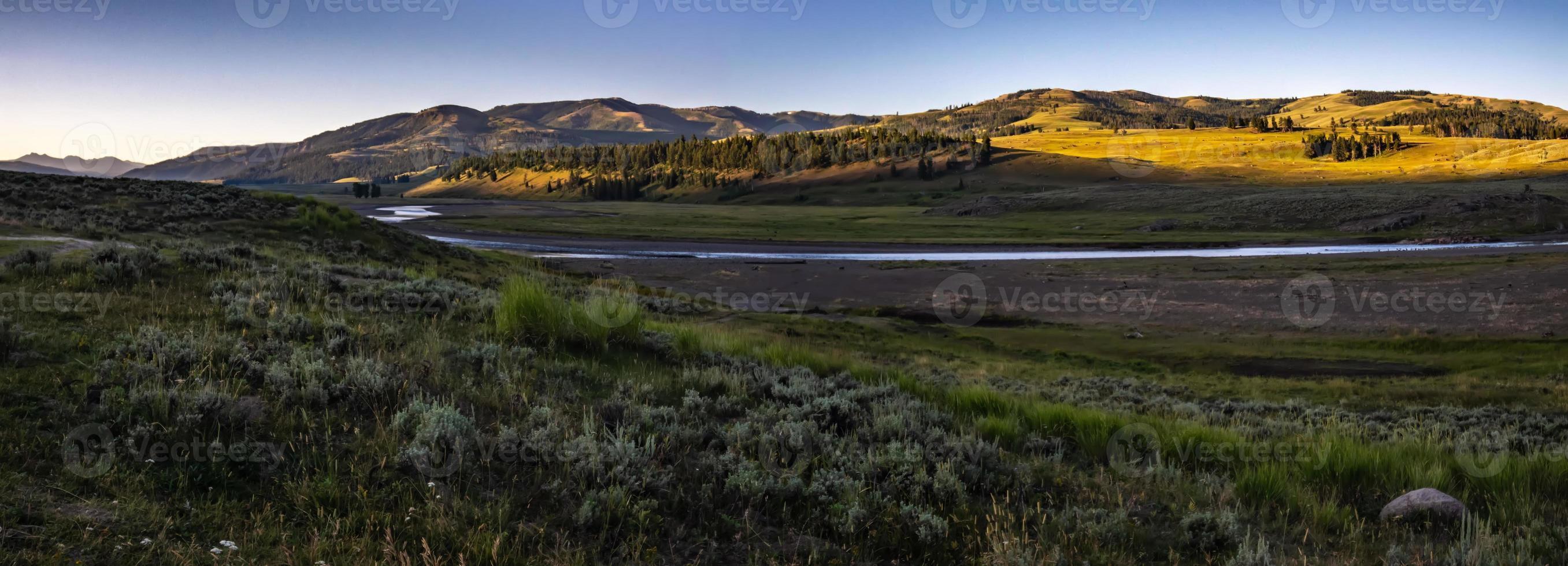 morgon natur scener i Hayden Valley Yellostone Wyoming foto