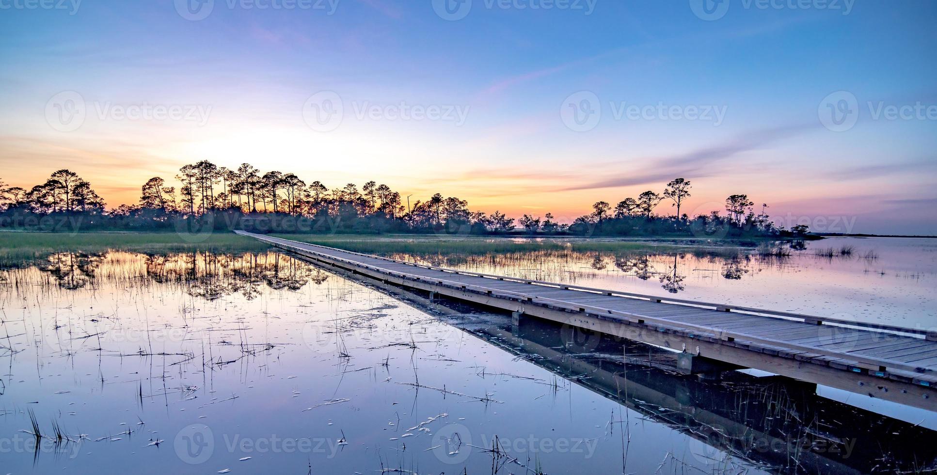 jaktön South Carolina Beach Scener foto