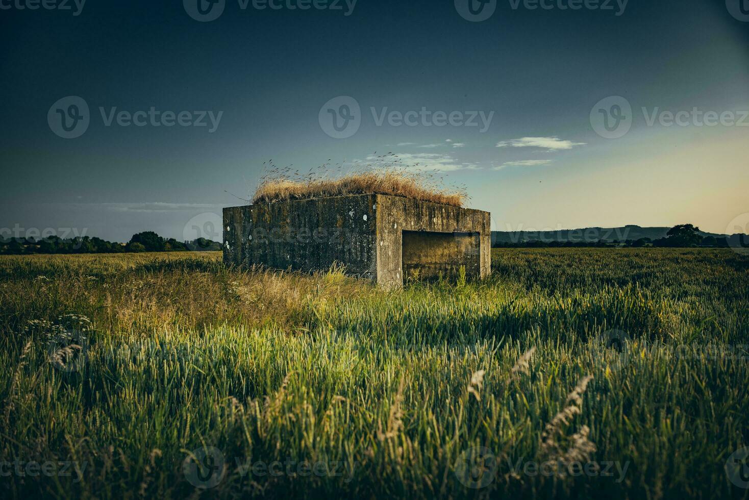 gammal, överge strukturera, bunkra i en lantlig fält, öst sussex, Storbritannien foto