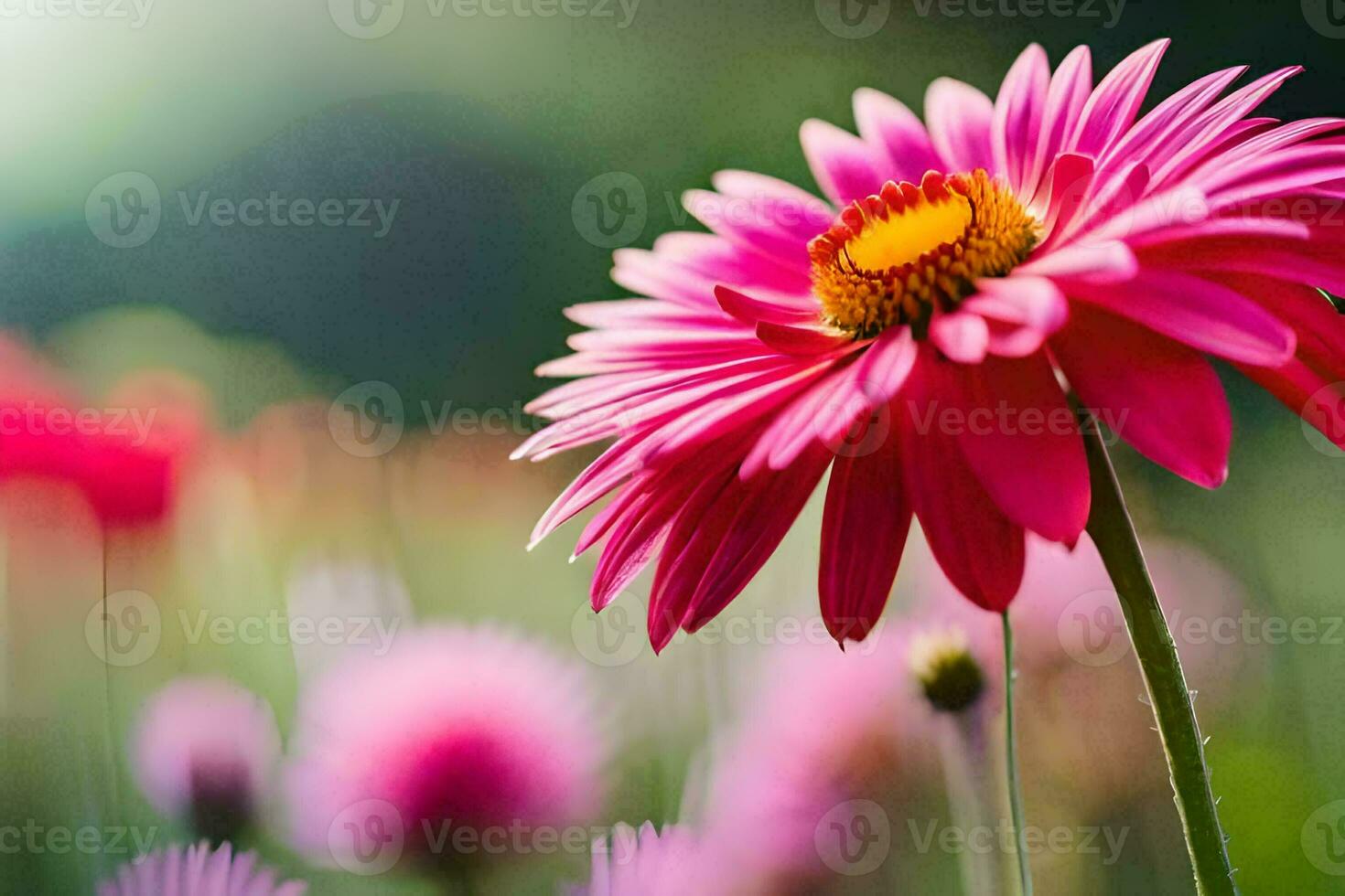 en rosa blomma är i de mitten av en fält. ai-genererad foto