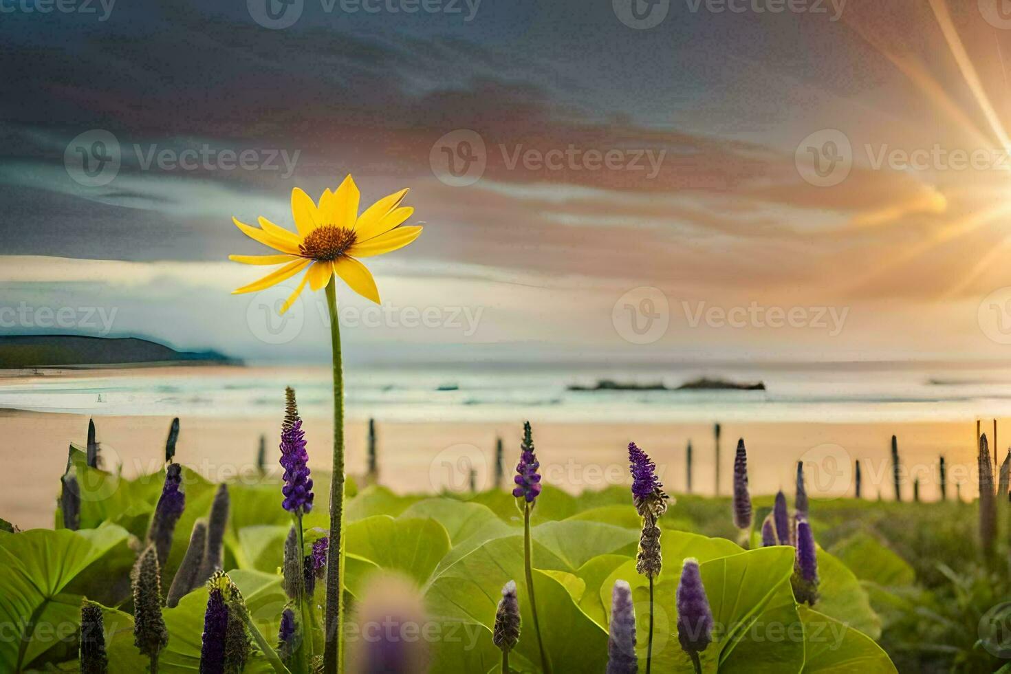 Foto tapet de hav, blommor, Sol, de strand, blommor, de hav, de Sol. ai-genererad