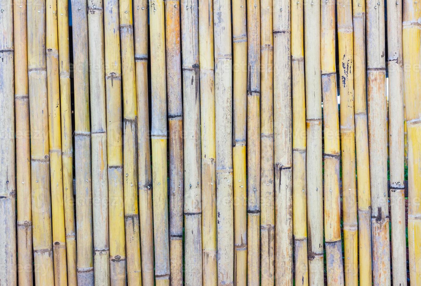 närbild av bambustaket foto