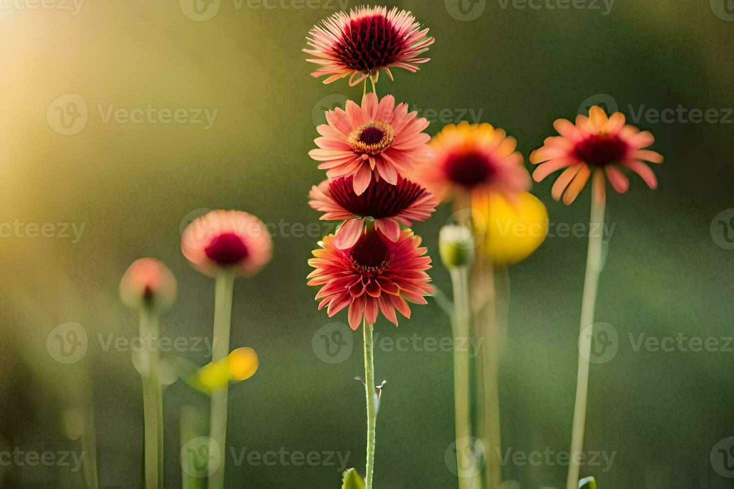 blommor i de Sol. ai-genererad foto