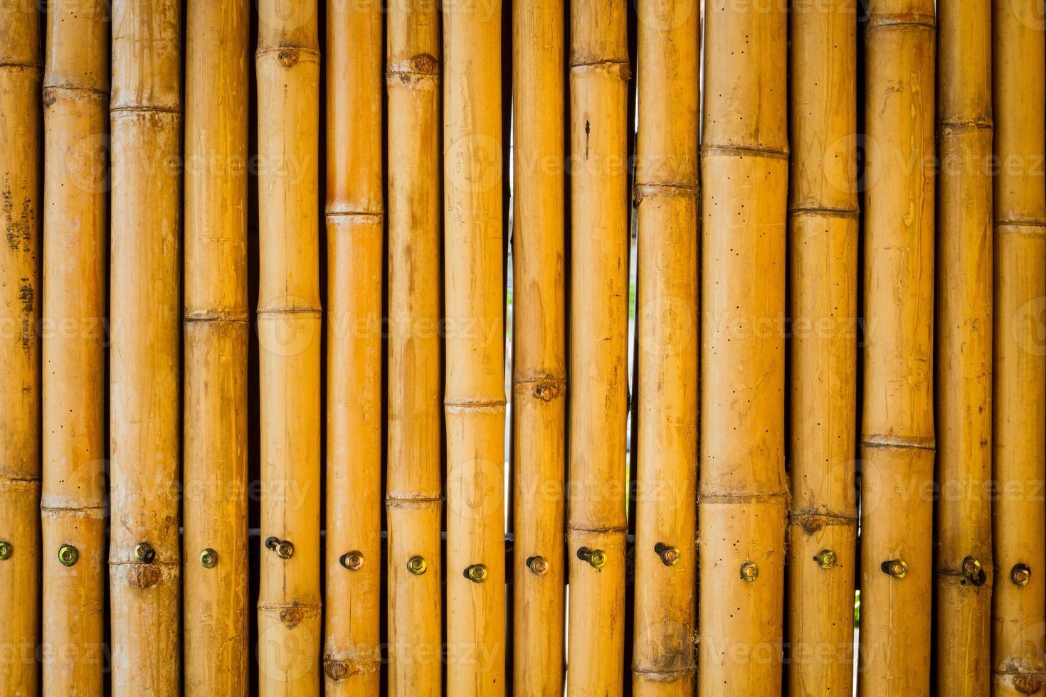 närbild gul bambu staket bakgrund foto