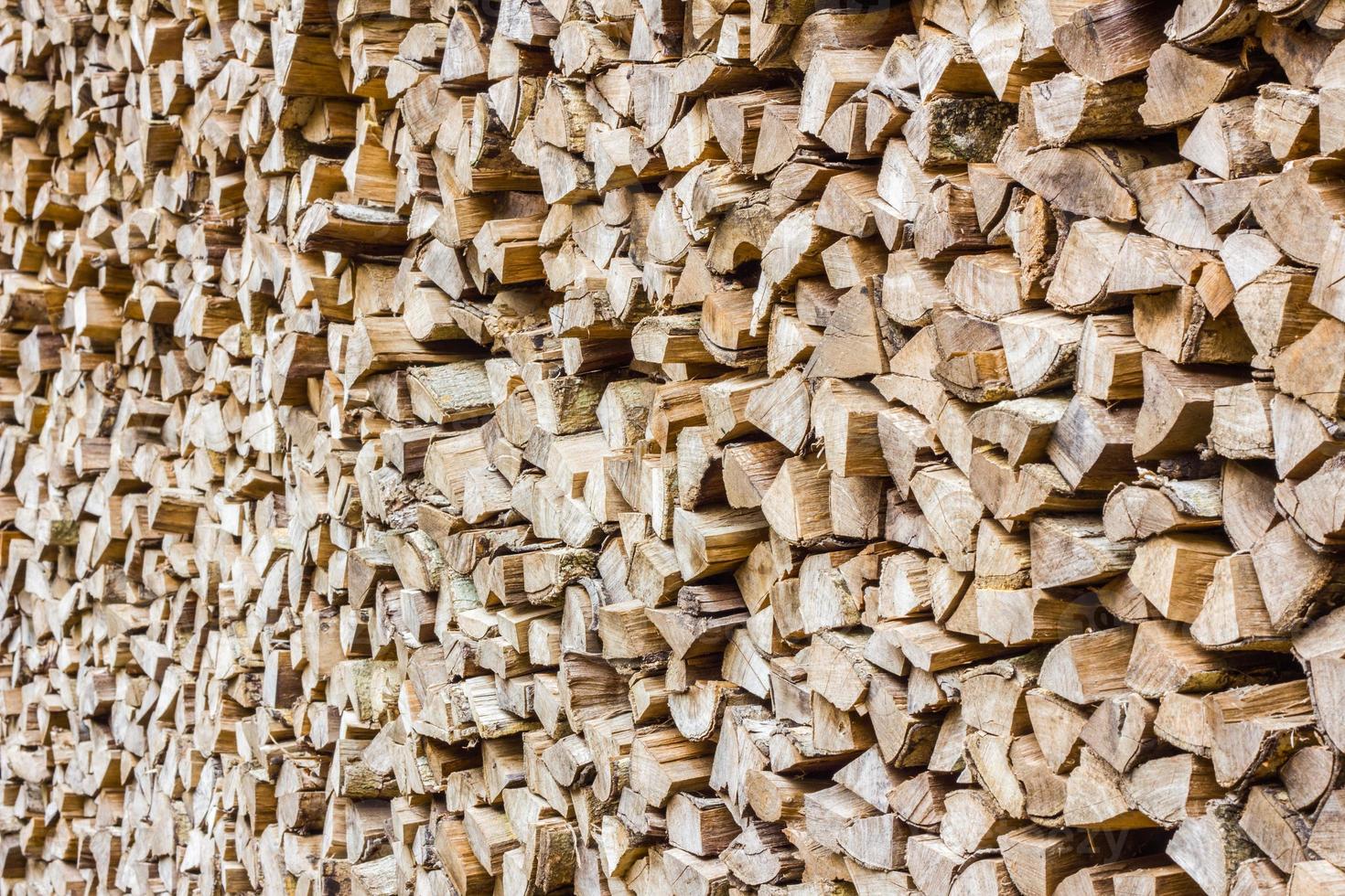 en bunt med björksved - en naturlig horisontell bakgrund foto