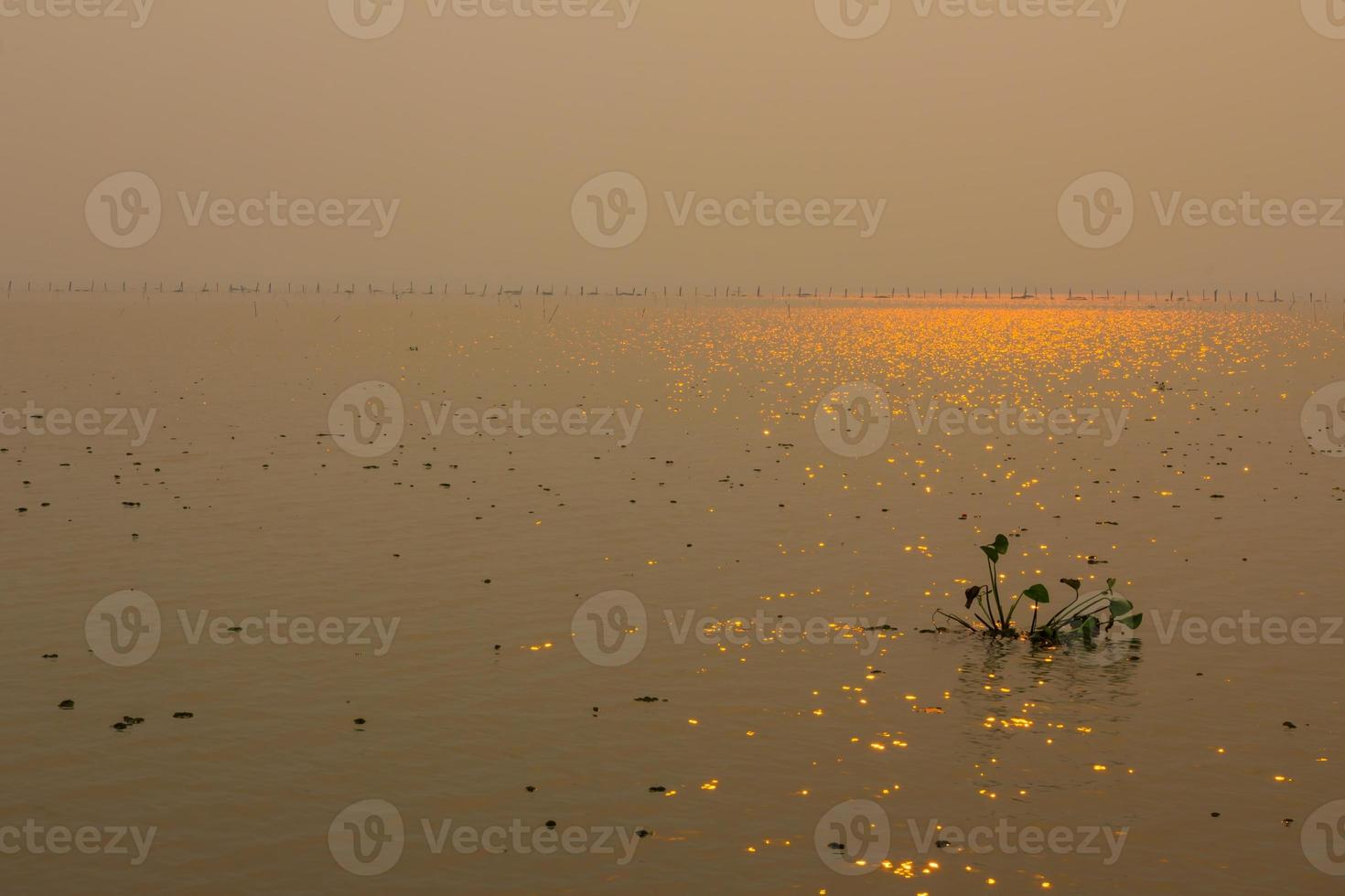 solreflektioner på sjön foto