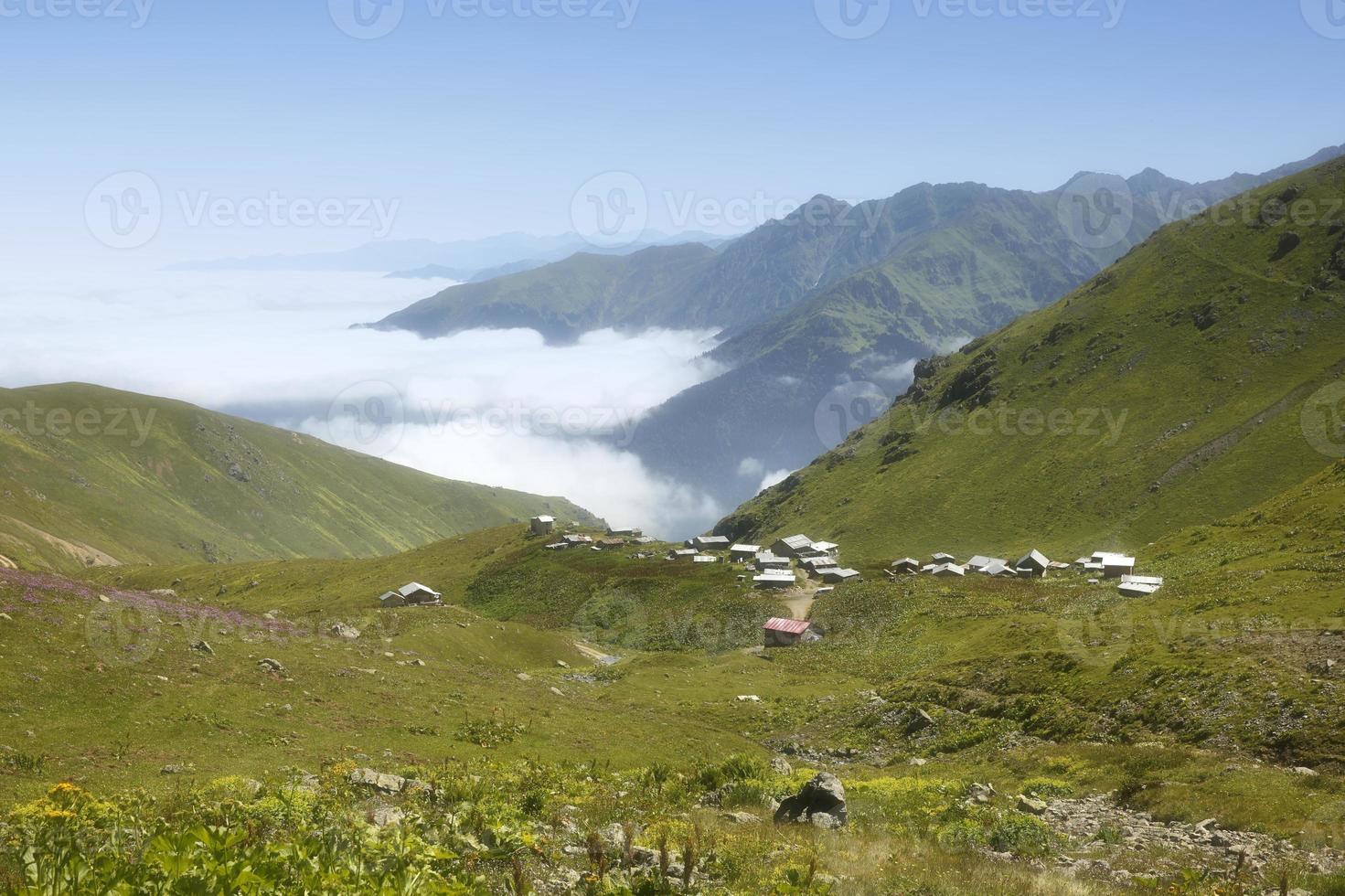 ambarli plateau rize, kalkon foto