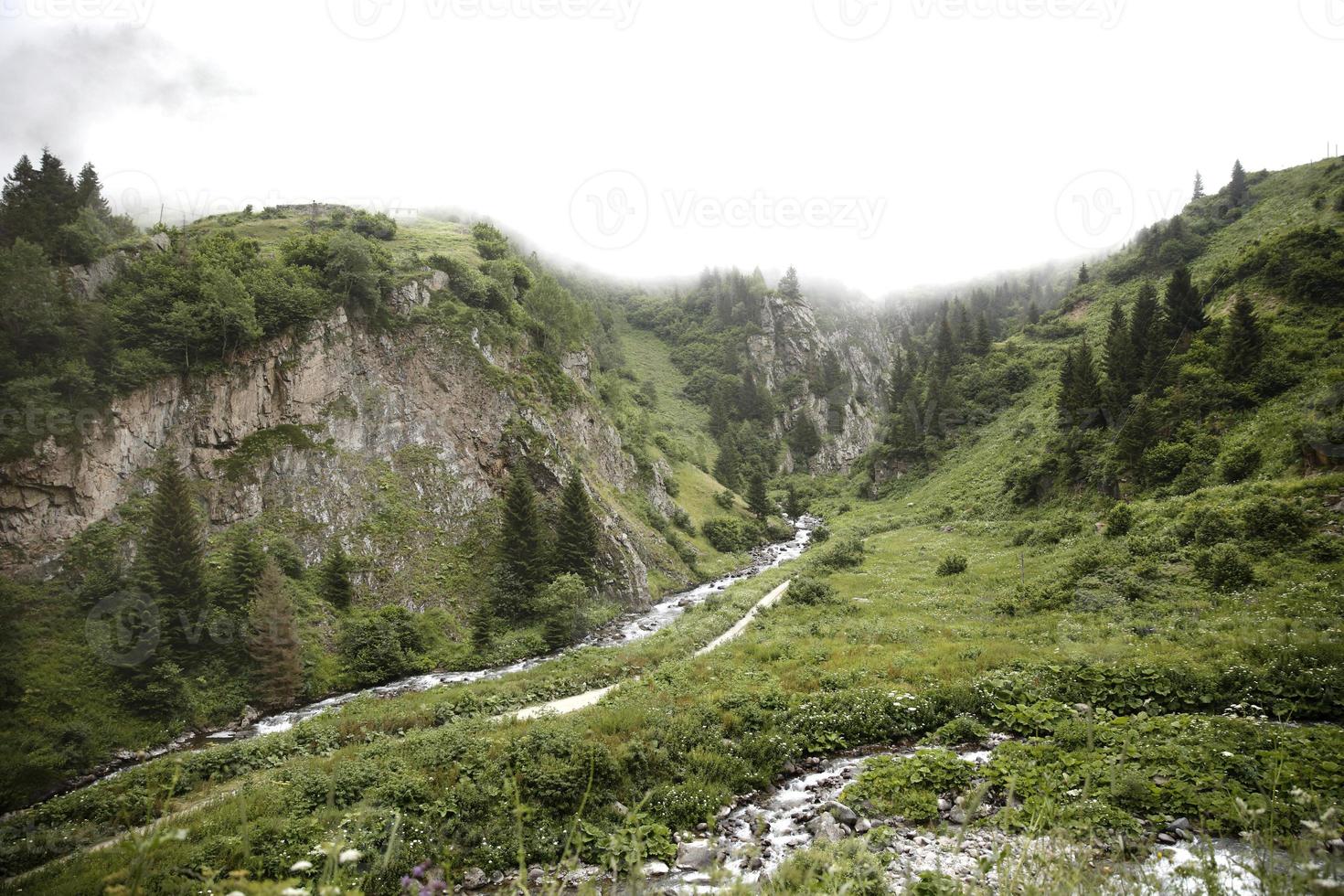 Svarta havet, Rize Cat Creek Creek, Turkiet, Visa foto