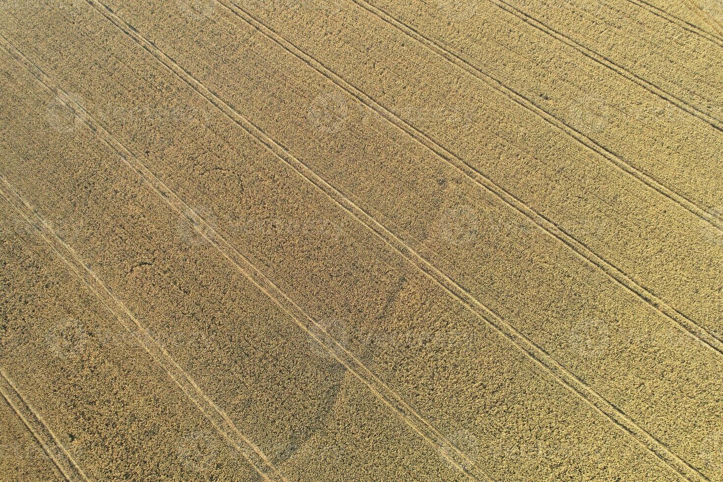 hög vinkel panorama- landskap se av brittiskt jordbruks gårdar på landsbygden landskap av slipsko klappare, luton stad av England Storbritannien. antal fot fångad på augusti 19:e, 2023 foto