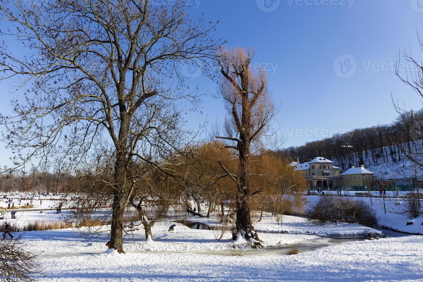 den största parken i prag stromovka under den snöiga vintern foto