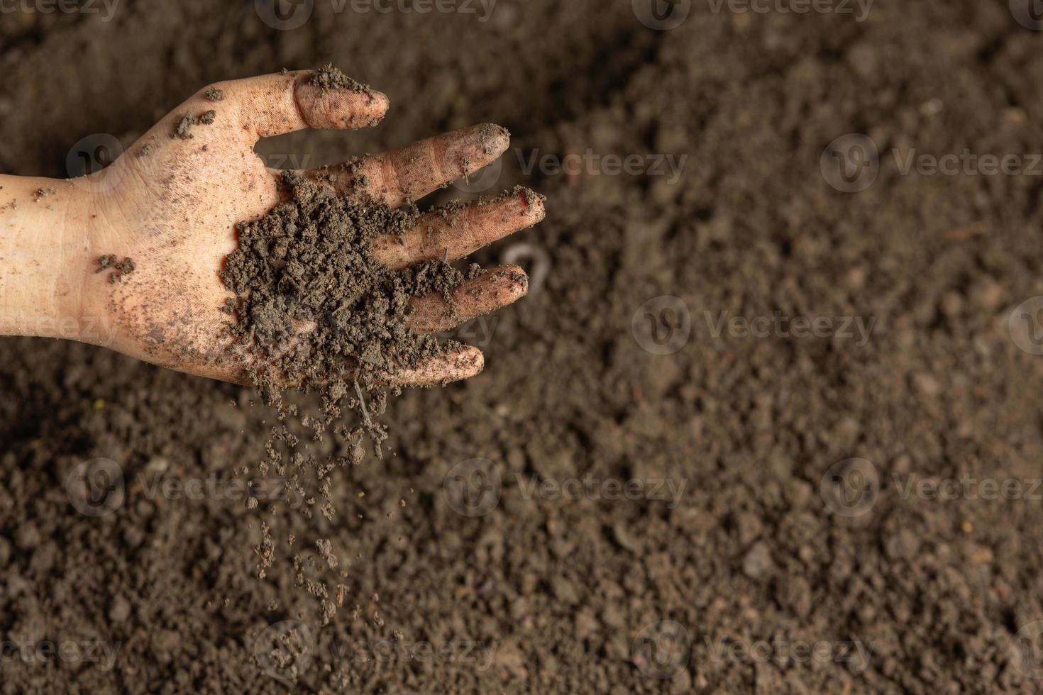 hand som håller svart jord för att odla grödor världsjordkoncept foto