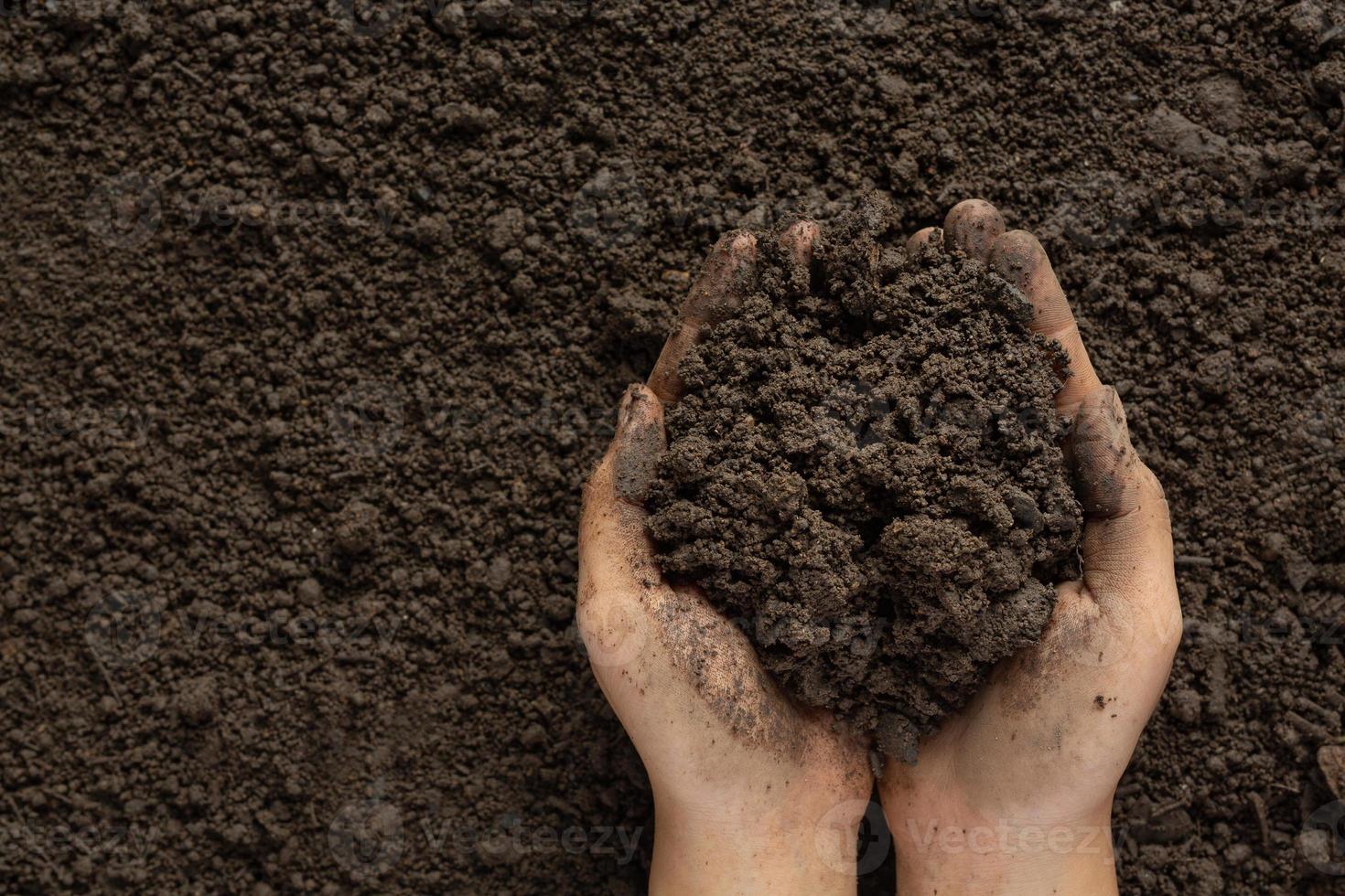 hand som håller svart jord för att odla grödor världsjordkoncept foto