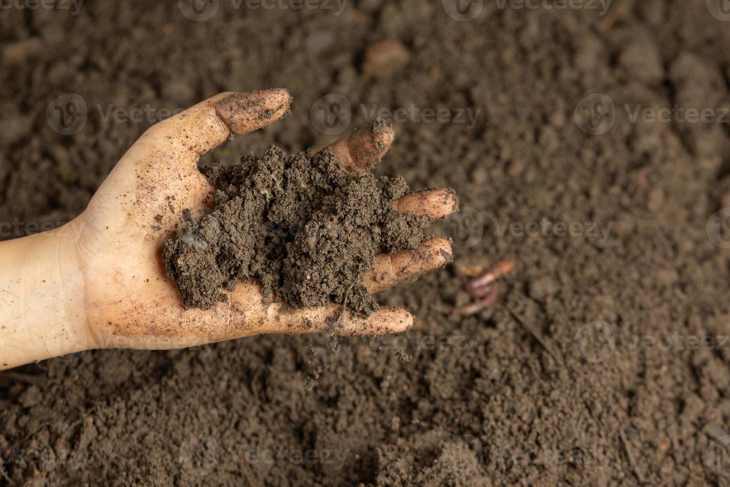 hand som håller svart jord för att odla grödor världsjordkoncept foto