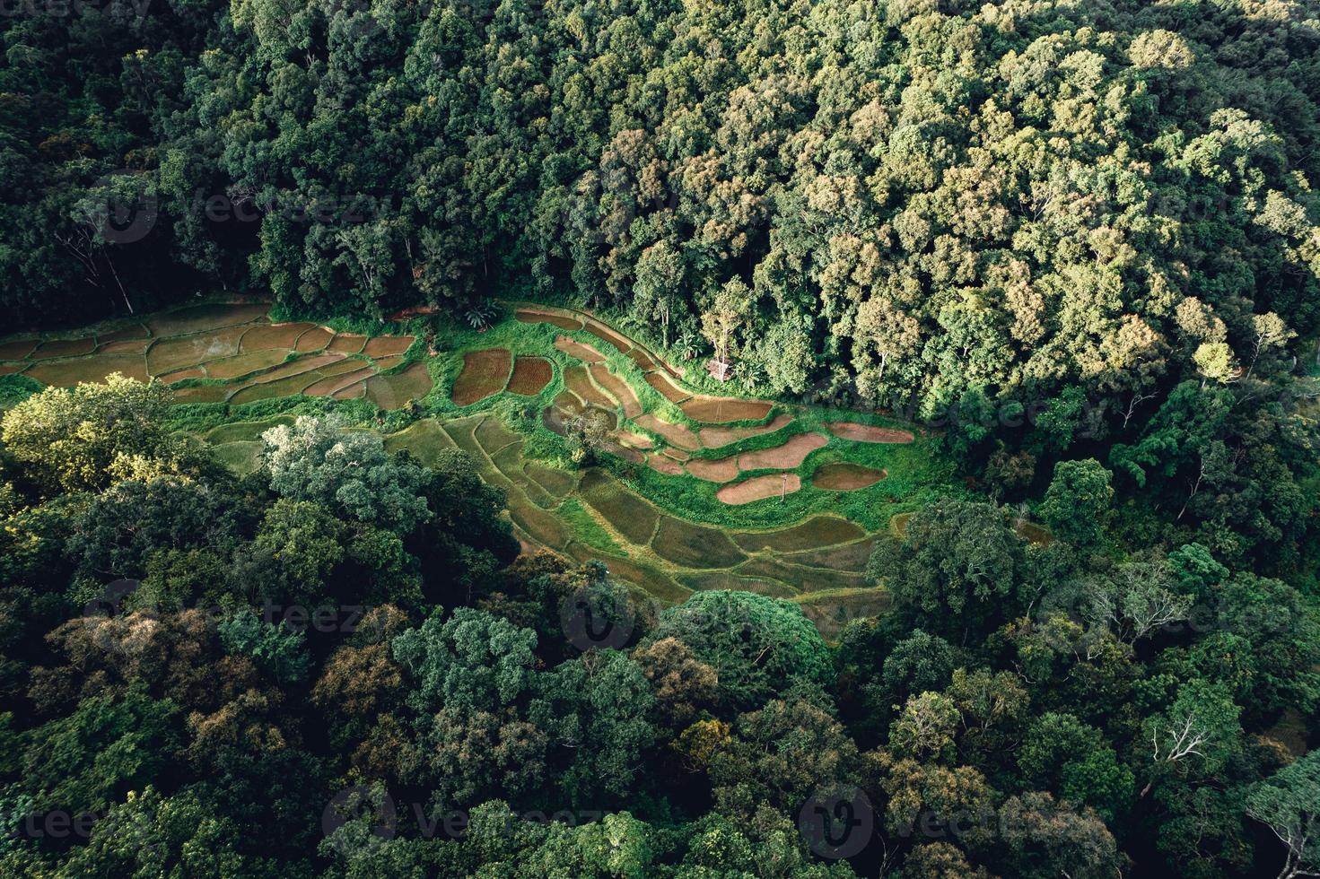 Flygfoto över terrasserade risfält foto