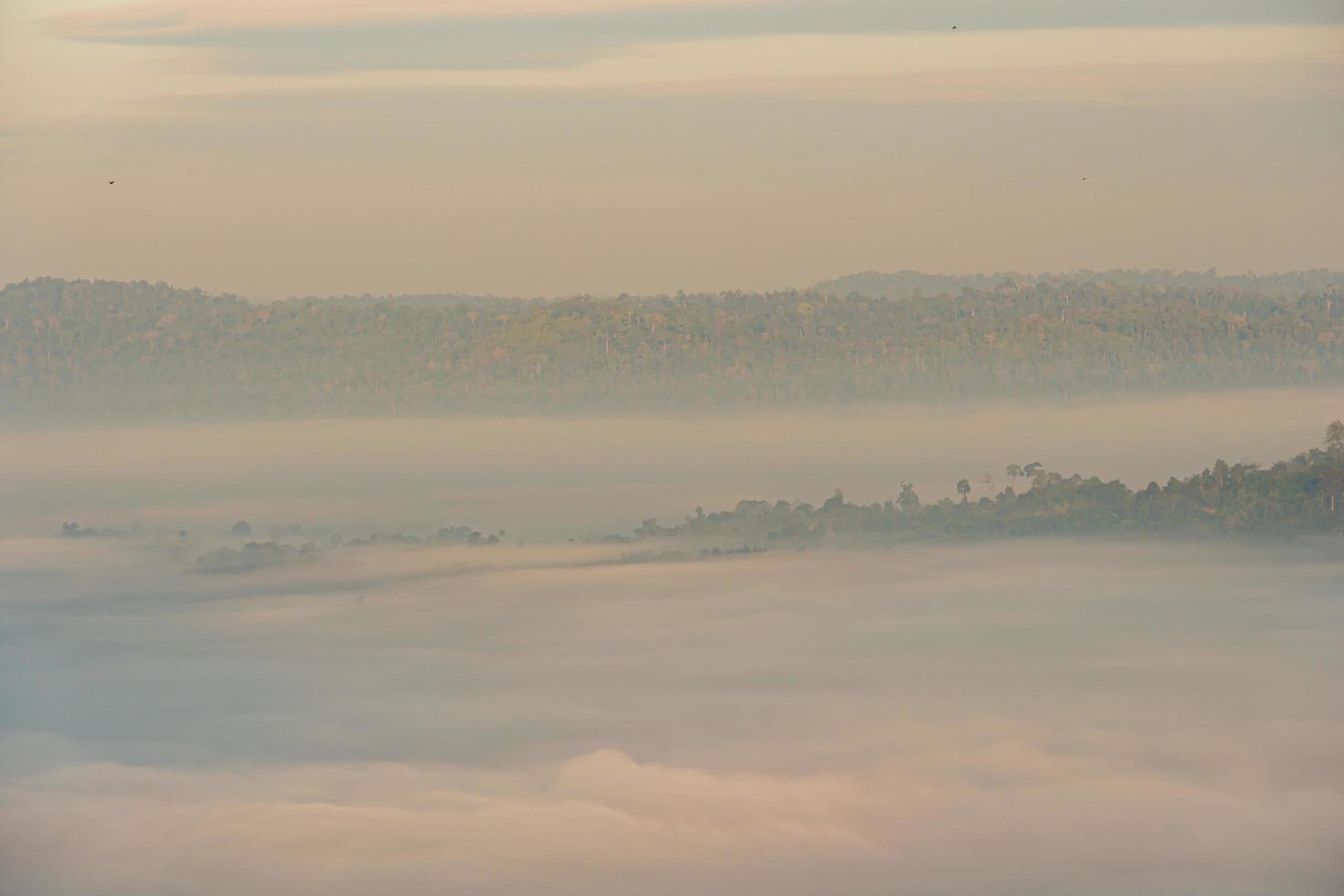 morgondimma vid khao kho synvinkel, phetchabun -provinsen foto