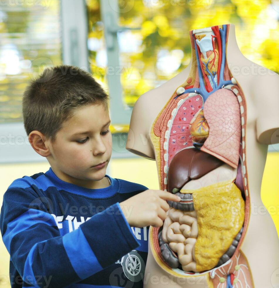 lära sig biologi i skola foto