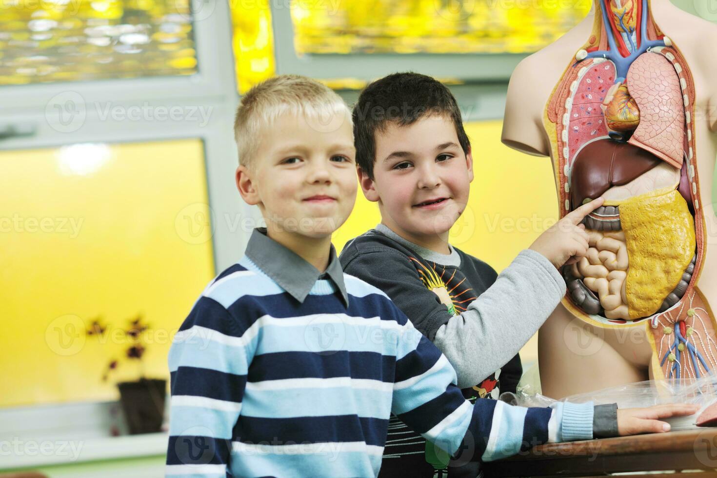 lära sig biologi i skola foto