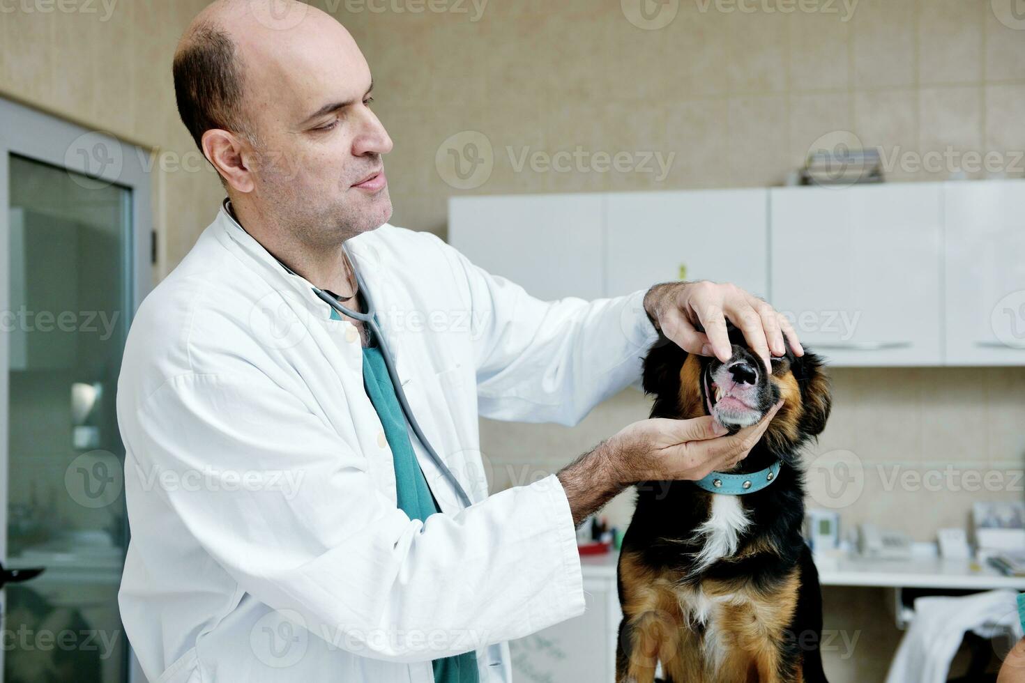 veterinär och assistent i en liten djurklinik foto