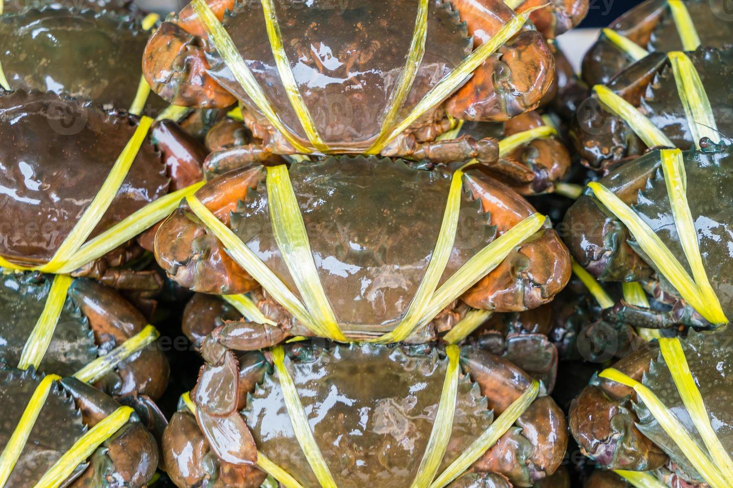 färsk svart krabba på marknaden foto