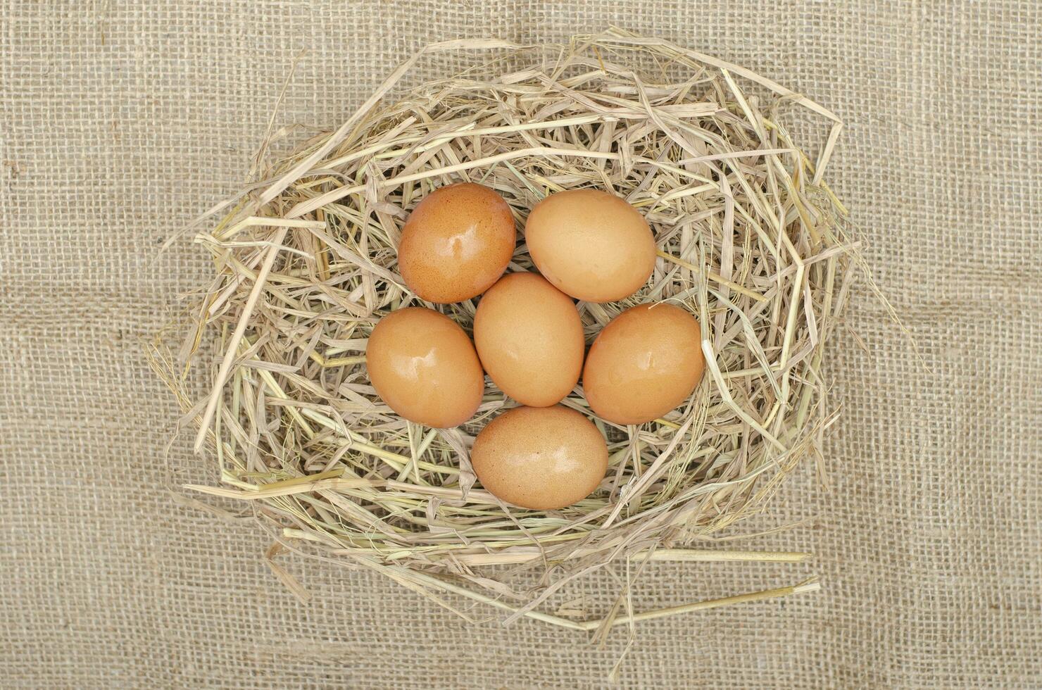 färsk kyckling ägg är placerad på höstack och på säckväv foto