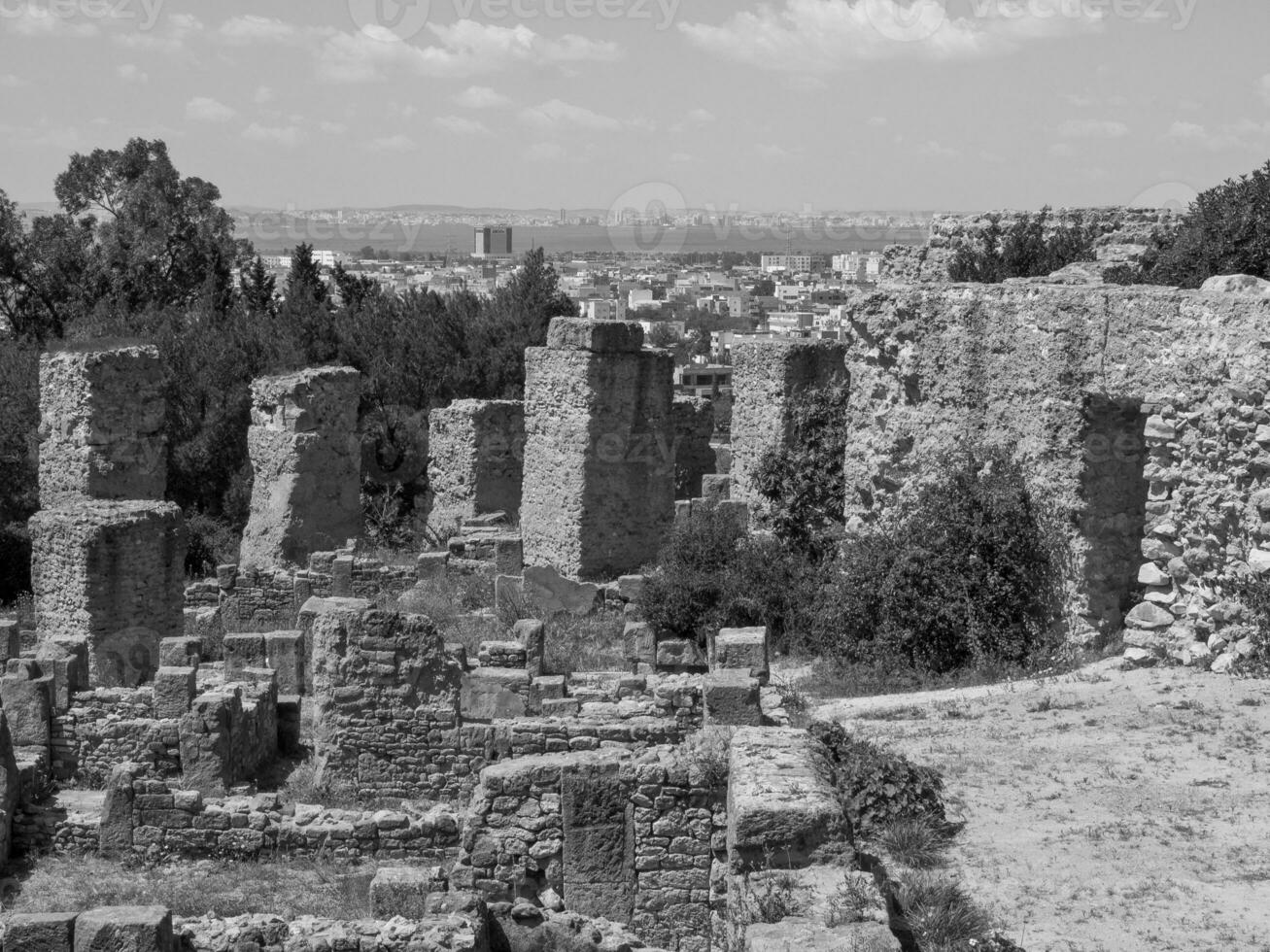 de gammal stad av tunis foto