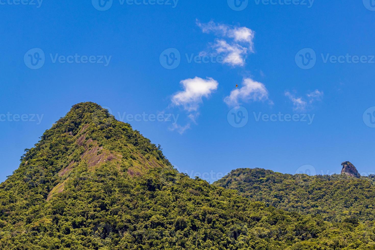 abraao mountain pico do papagaio med moln. ilha grande brasilien. foto