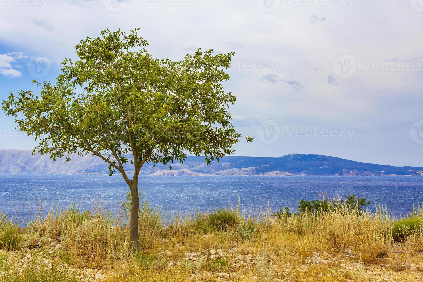 landskap på novi vinodolski i kroatien foto