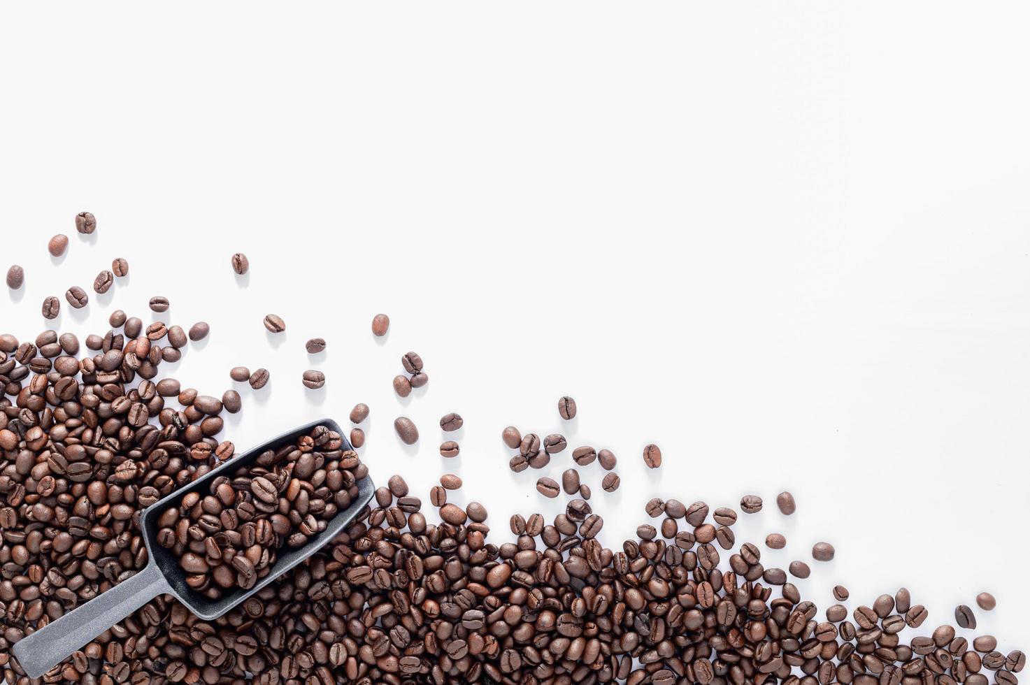 kaffebönor vit bakgrund scen foto