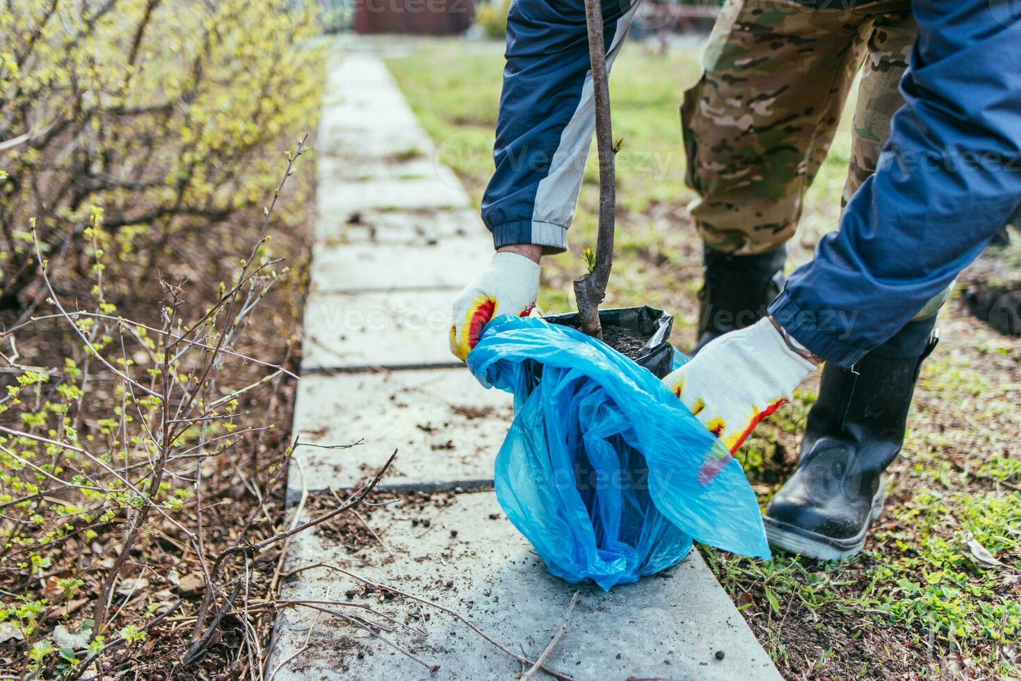 en man växter en ung frukt träd. de jordbrukare packar upp en ny fröplanta och sätter den i de jord. de begrepp av miljö- skydd och ekologi foto