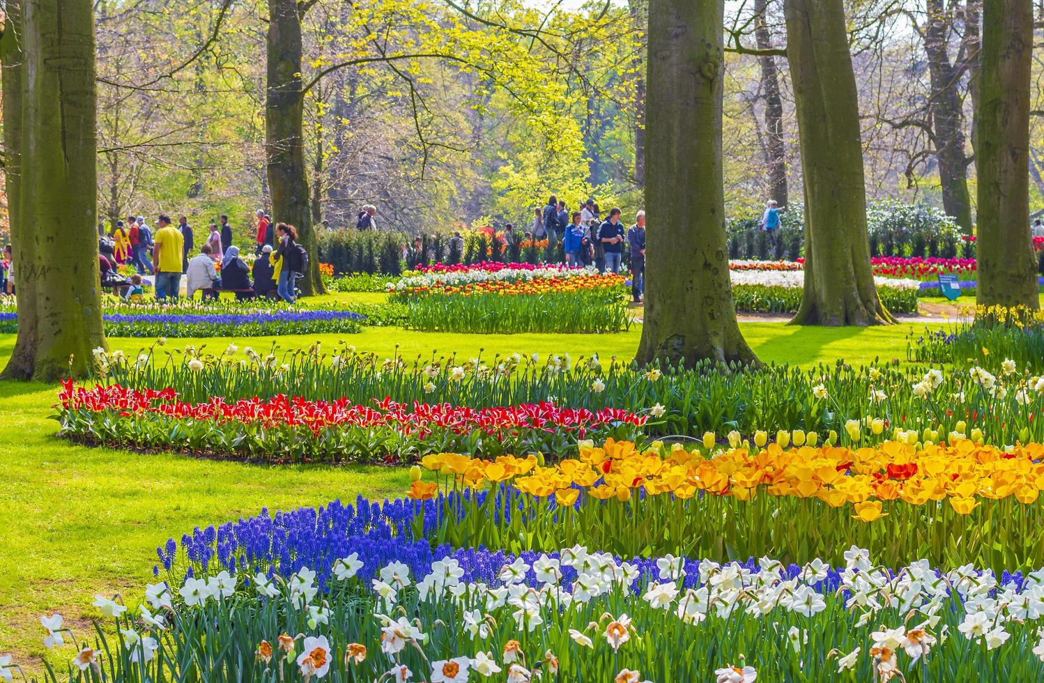 lisse, Nederländerna, 20 april, 2014 - färgglada tulpaner och påskliljor i keukenhof tulpanpark foto