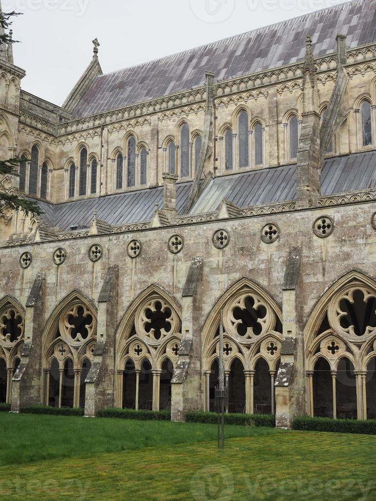 salisbury katedral i salisbury foto