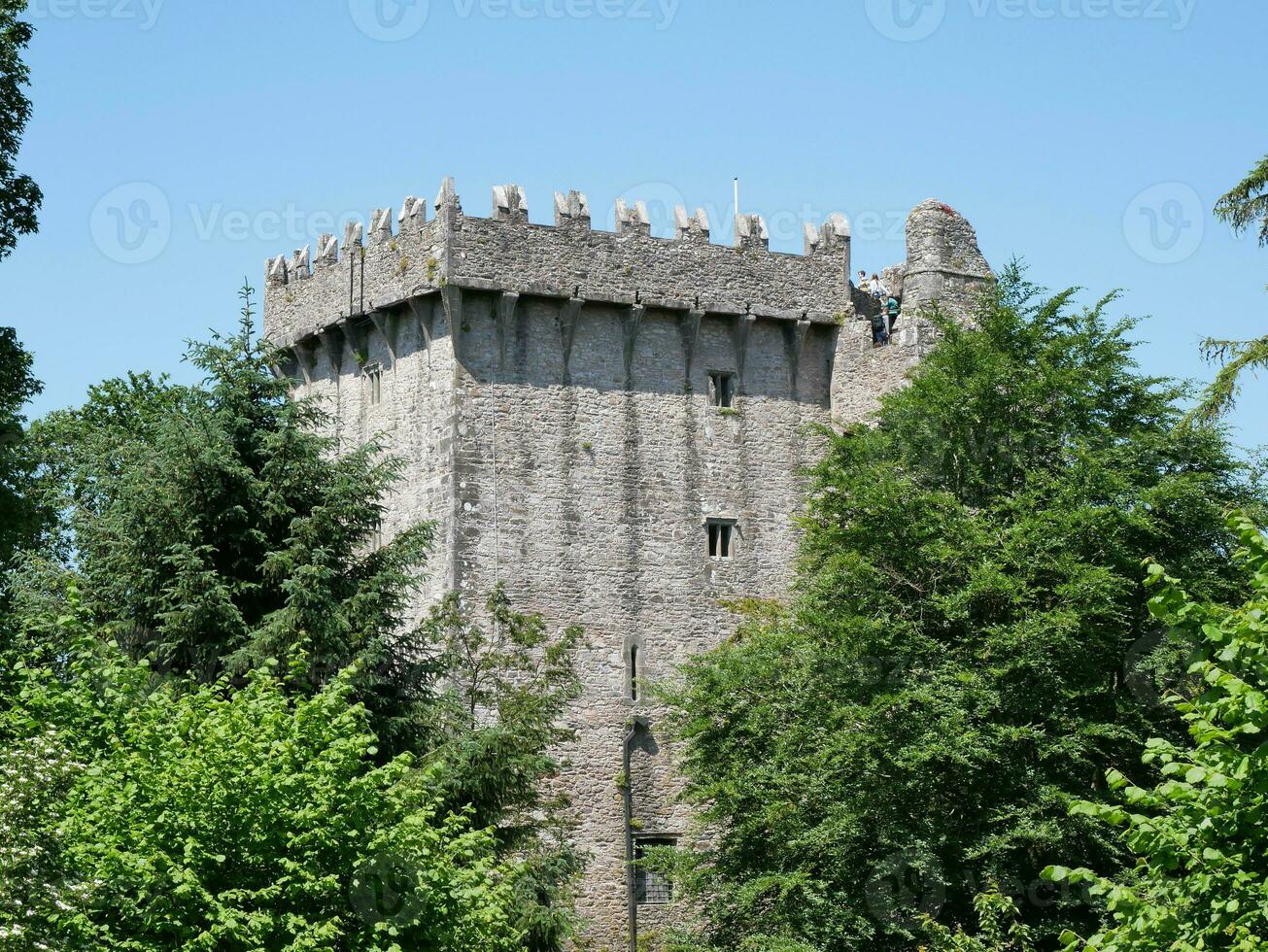 gammal celtic slott torn i de träd, blarney slott i Irland, gammal gammal celtic fästning foto