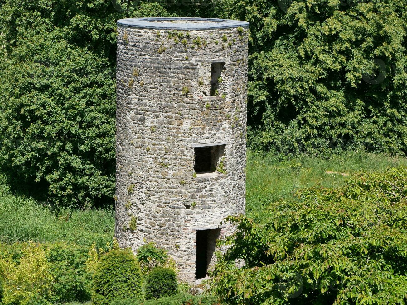 gammal celtic slott torn bland de träd, blarney slott i Irland, gammal gammal celtic fästning foto