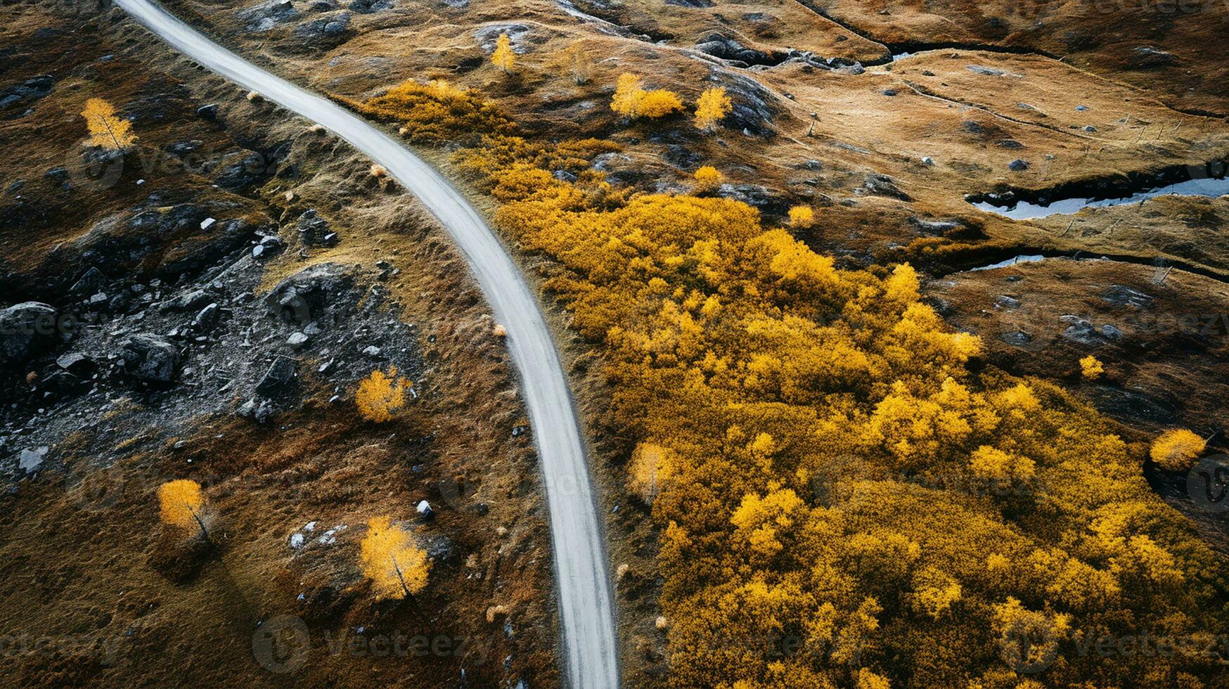 topp ner antenn se av lindning skog väg i grön berg gran skogen. generativ ai foto