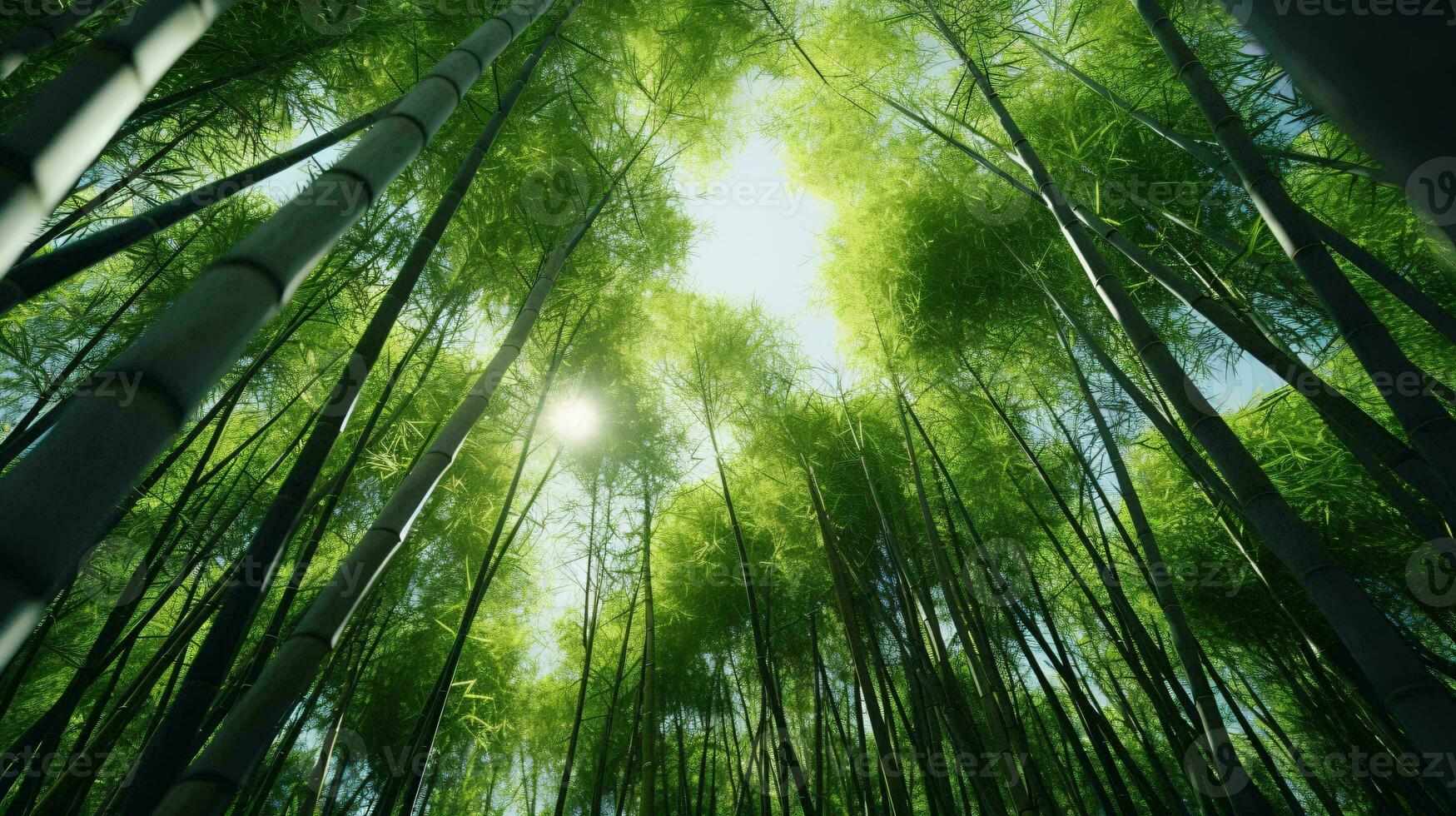 en lugn bambu skog nå för de himlen ai genererad foto