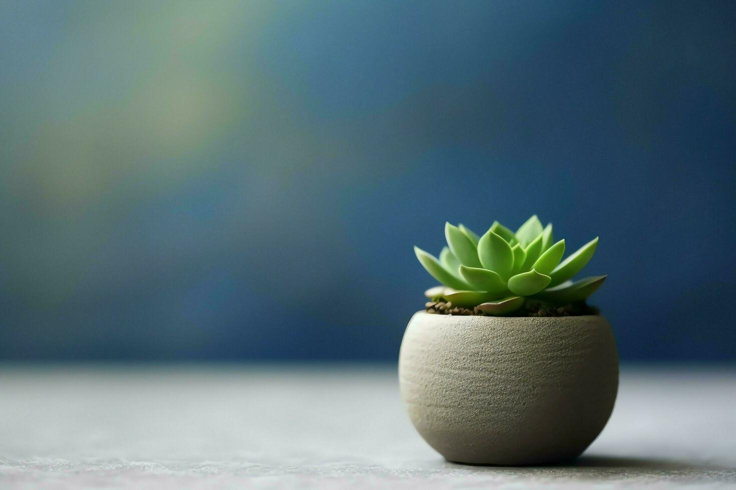 inlagd saftig växt gasteria eller små kaktus med kopia Plats. Hem trädgårdsarbete och minimalistisk växt begrepp förbi ai genererad foto