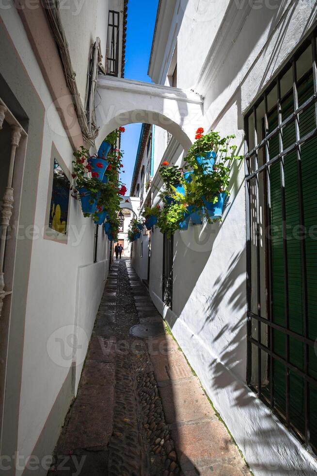 blommor i blå blomkruka på de väggar på gator av cordoba. Spanien foto