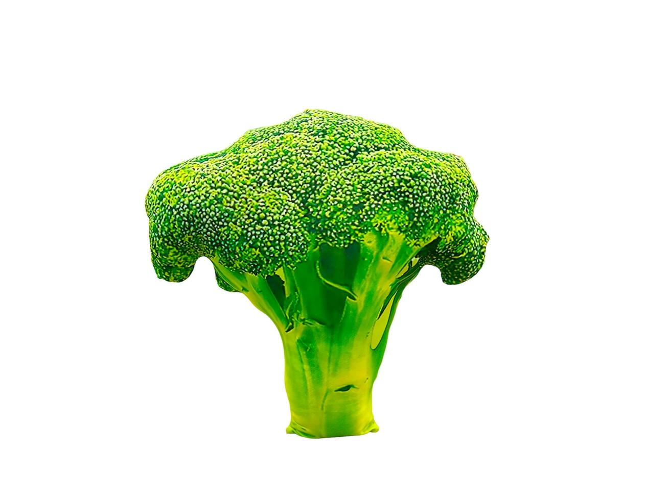 fylld broccoli vegetabiliska på en vit bakgrund foto