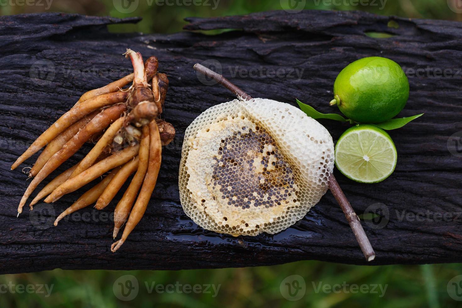 kaempfer är ingrediens och ört foto