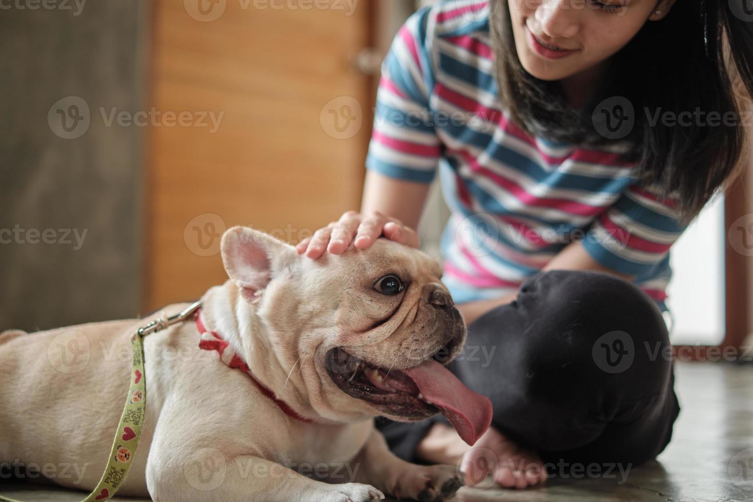 tillfällig kvinna som strök huvudet på en söt fransk bulldog. foto