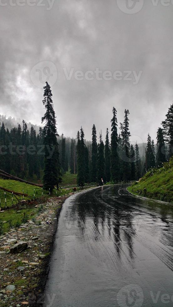 vägen till gulmarg kashmir foto