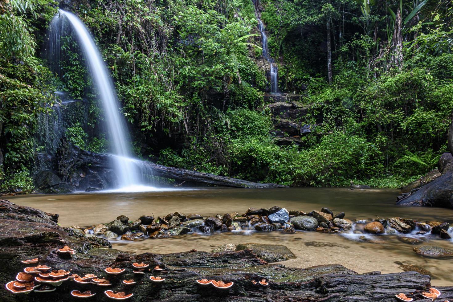 mån tha än vattenfall i Chiang Mai, Thailand foto