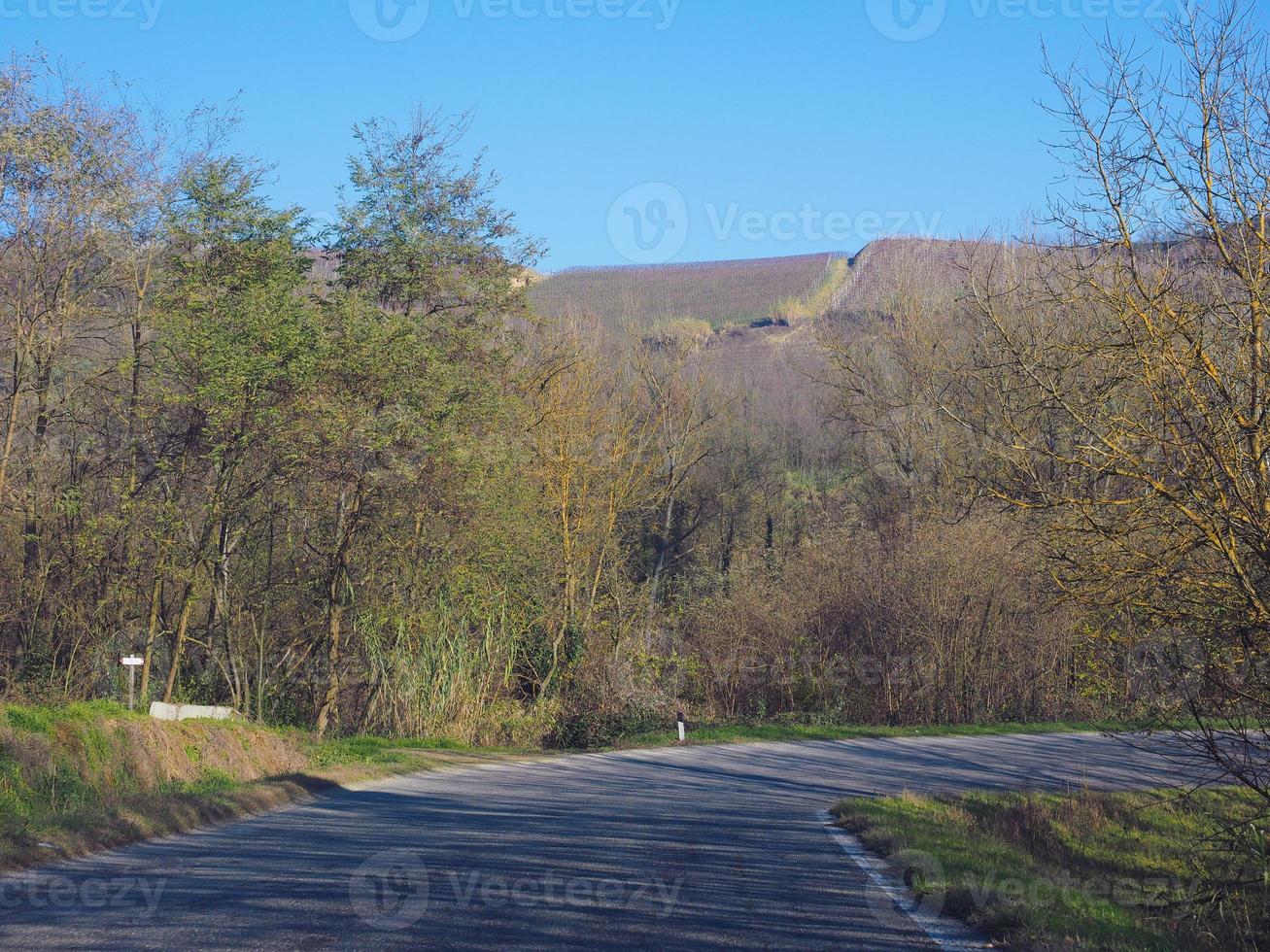 roero kullar i Piemonte foto