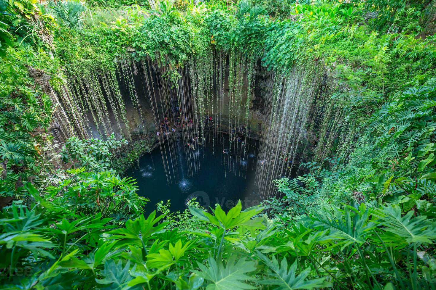 mexiko, ik kil cenote nära merida yucatan halvön i arkeologisk park nära chichen itza foto