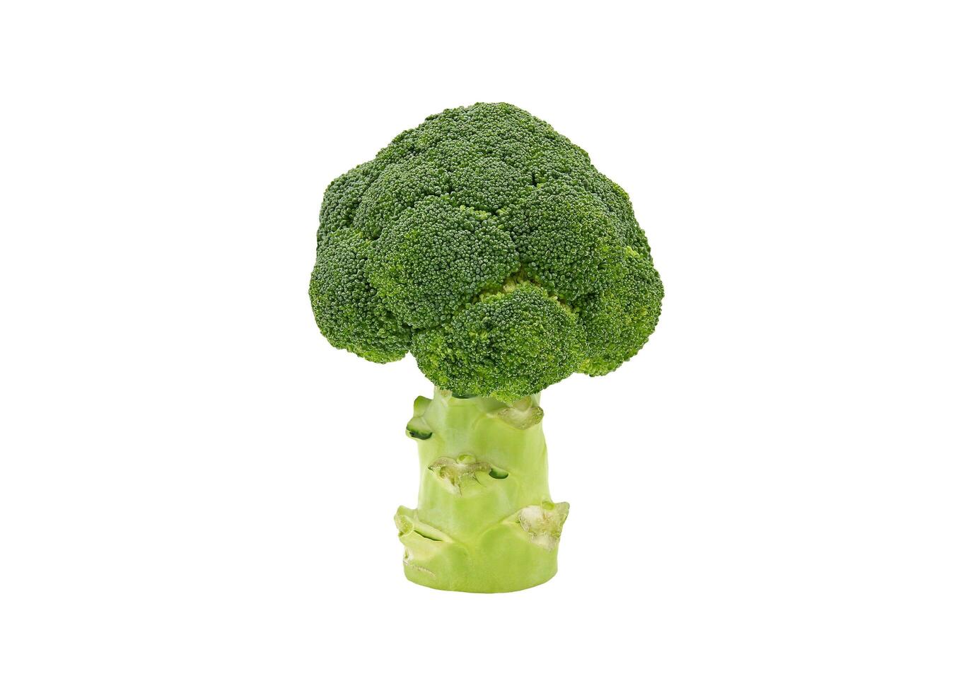 färsk broccoli isolerat på vit bakgrund med klippning väg eller göra urval. friskhet grön grönsak, friska mat för diet och producera av lantbruk foto